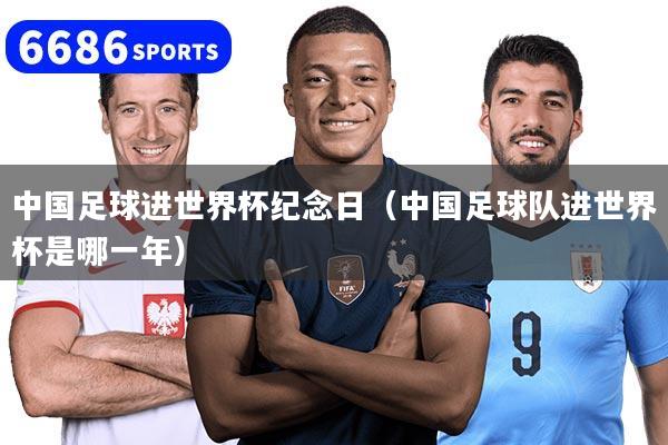 中国足球进世界杯纪念日(中国足球队进世界杯是哪一年)