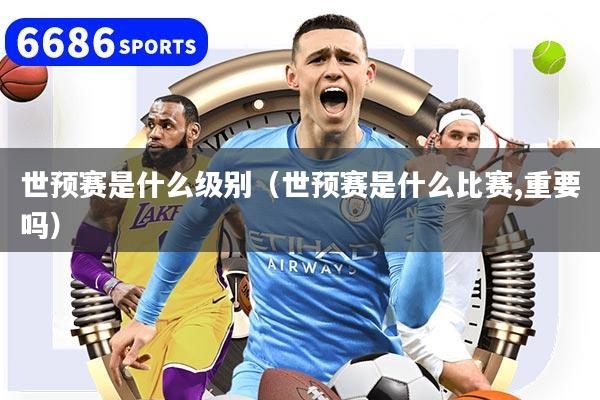 世预赛是什么级别(世预赛是什么比赛,重要吗)